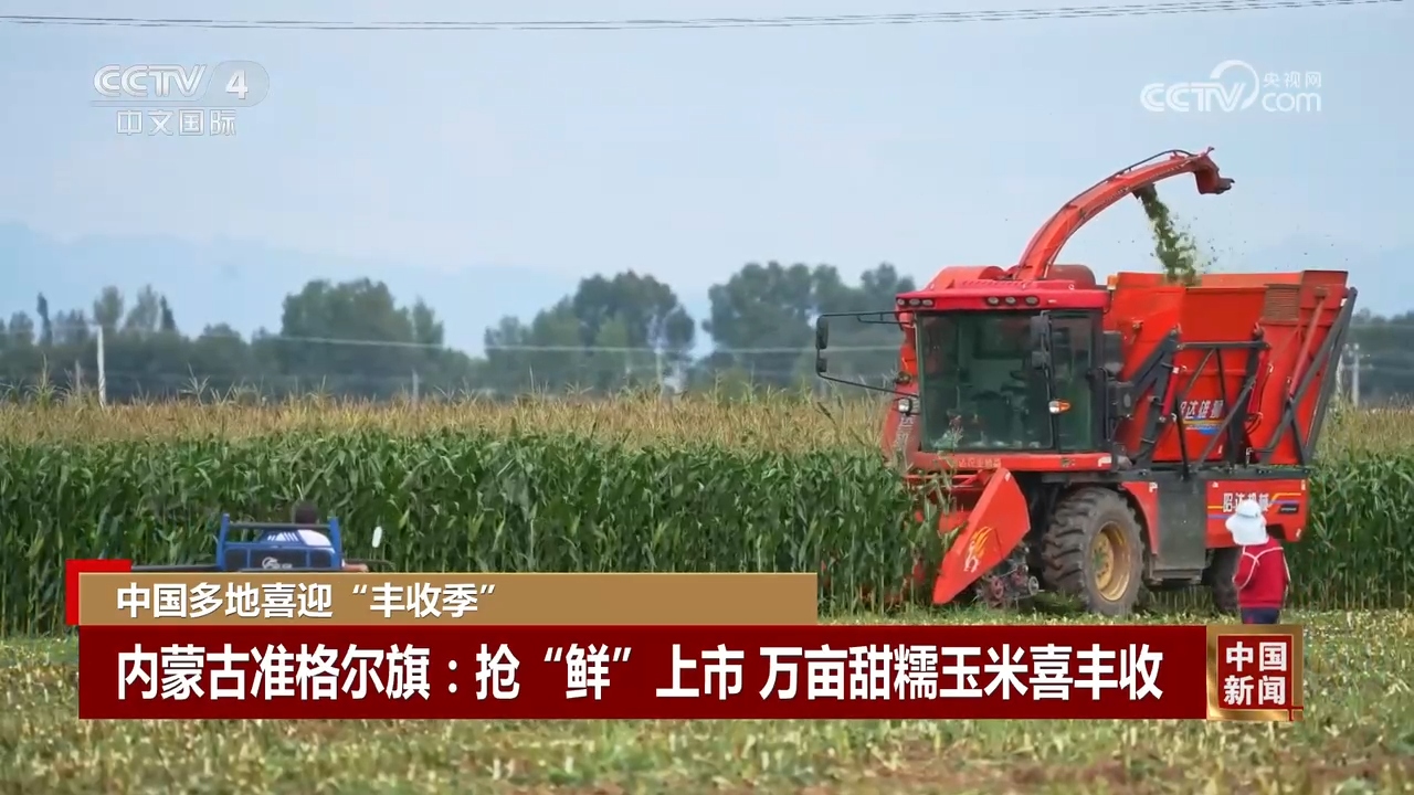 丰”景 中国多地喜迎“丰收季”AG真人中国金秋时节处处好“(图1)