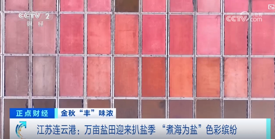 丰”景 中国多地喜迎“丰收季”AG真人中国金秋时节处处好“(图6)