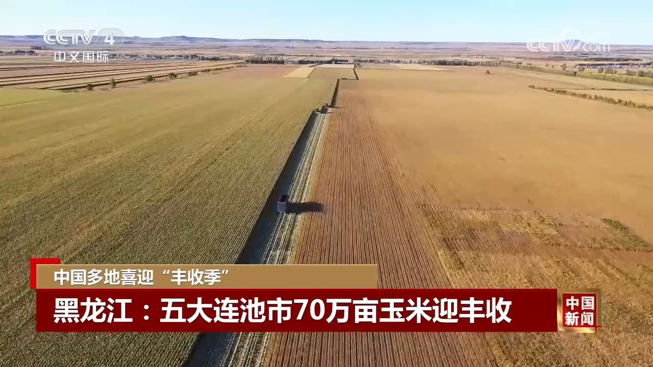 丰”景 中国多地喜迎“丰收季”AG真人中国金秋时节处处好“(图5)