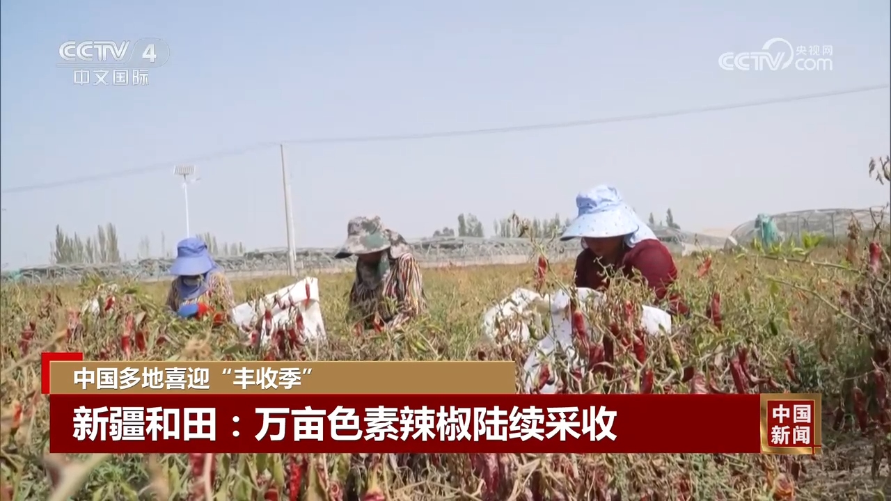 丰”景 中国多地喜迎“丰收季”AG真人中国金秋时节处处好“(图7)